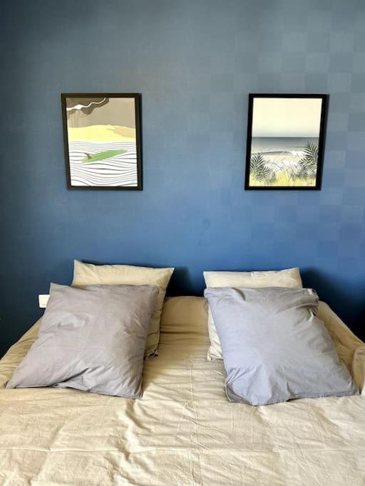Apartment Chez Cesar On The Biscarrosse